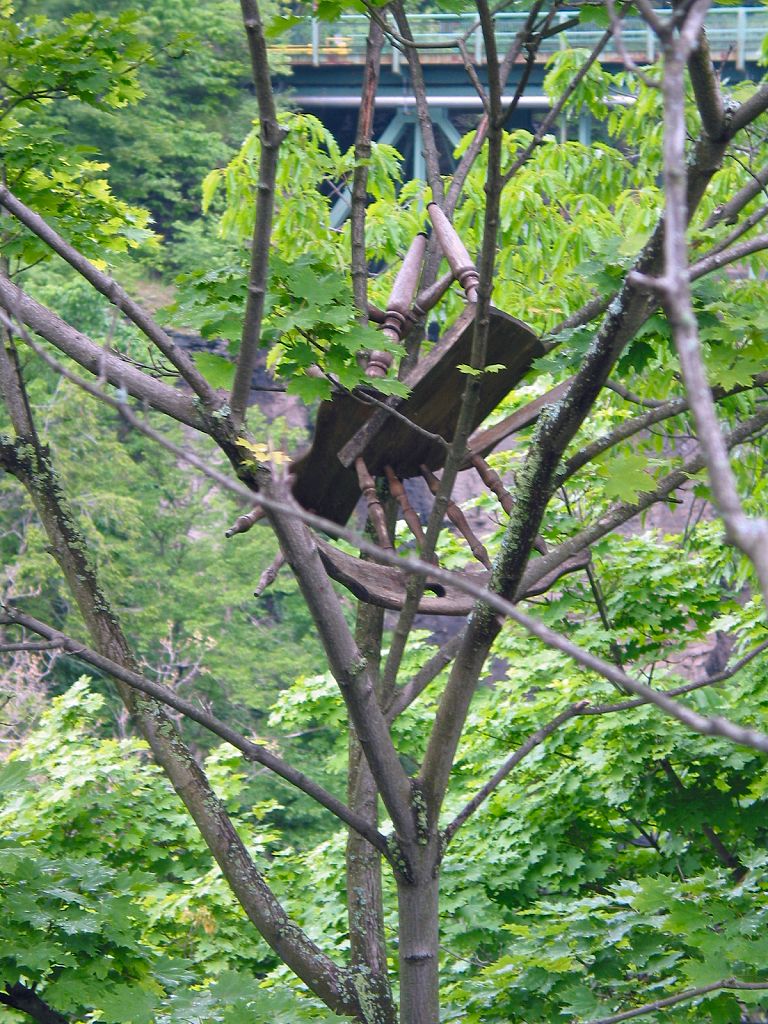 31_DiningRoomChairInTree.jpg