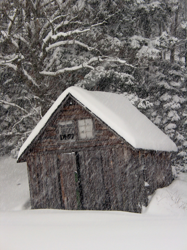 BoatHouse.jpg 